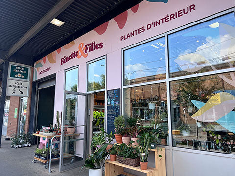 Boutique plantes d'intérieur. Fleuriste Binette et filles. Montréal