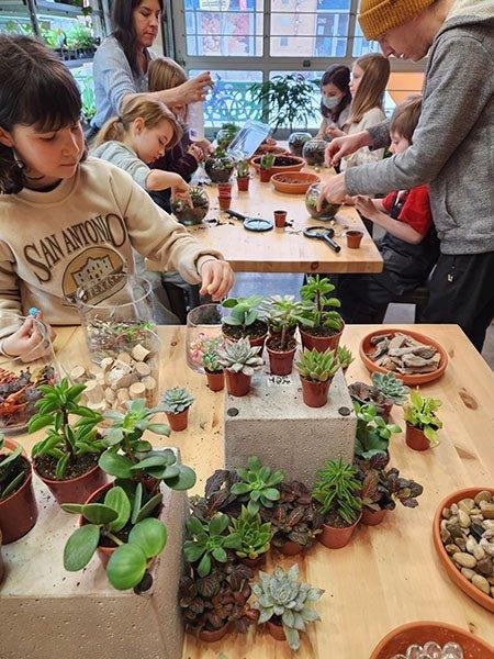 Atelier de création de terrarium - Fleuriste Binette et filles - Montréal Montréal