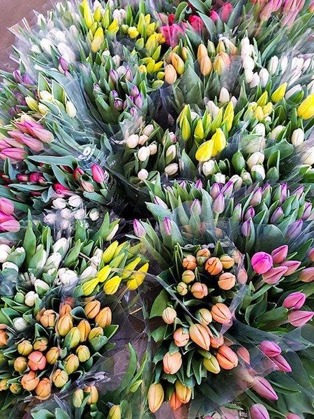 Bouquet de tulipes - Fleuriste Binette et filles - Montréal