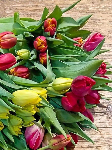 Bouquet de tulipes - Fleuriste Binette et filles - Montréal