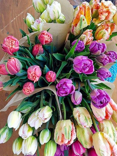 Bouquet de tulipes du Québec - Fleuriste Binette et filles - Montréal