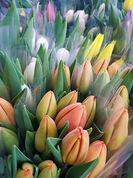 Tulipes en bouquet - Fleuriste Binette et filles - Montréal